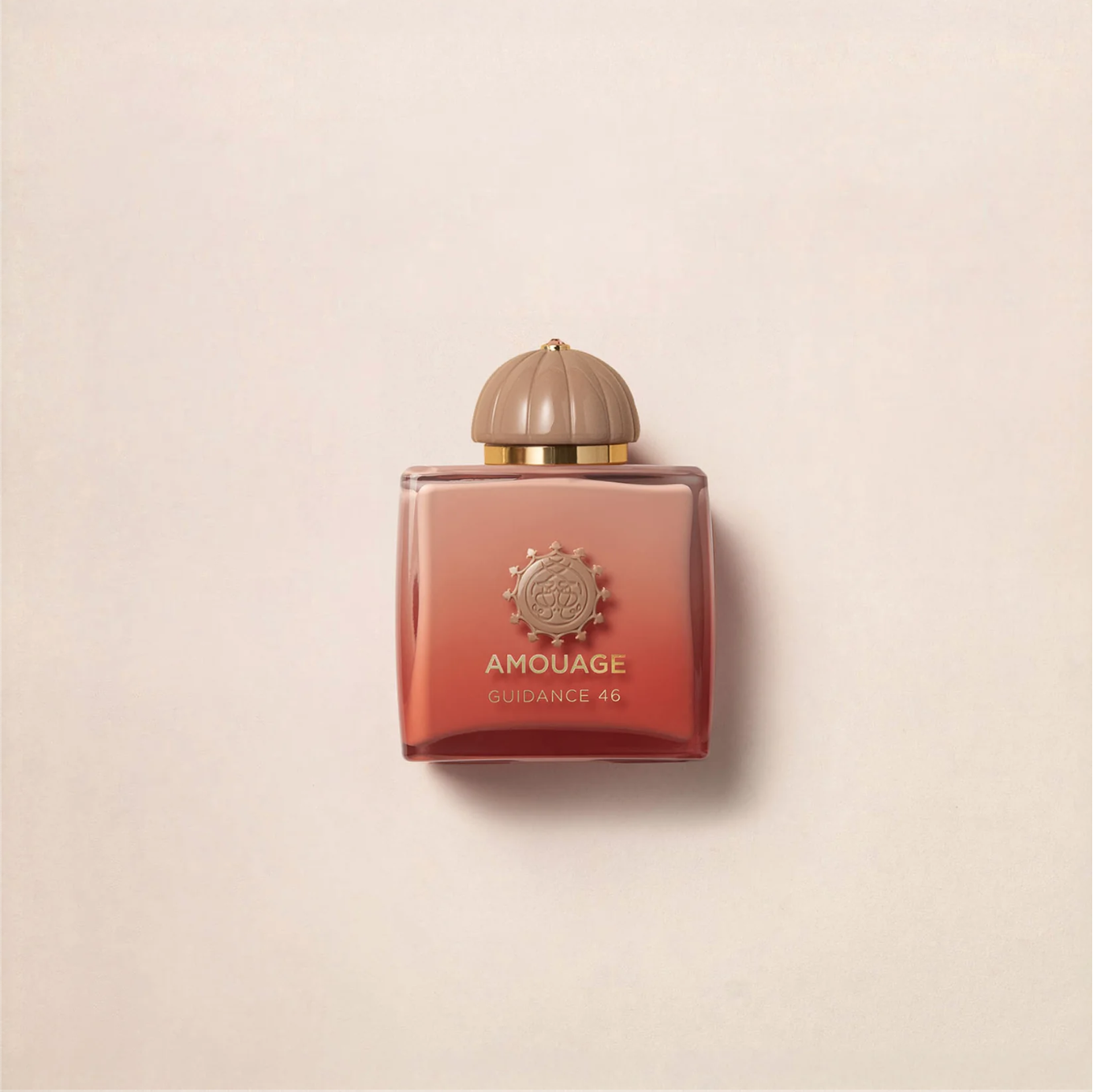 Amouage Guidance 46